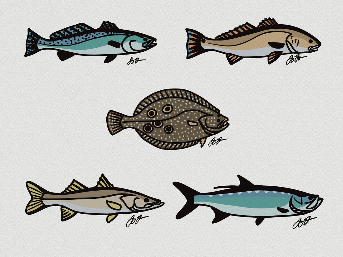 Simple Saltwater Fish Art, 04/05/24, #17