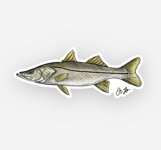 Snook Drawing Decal