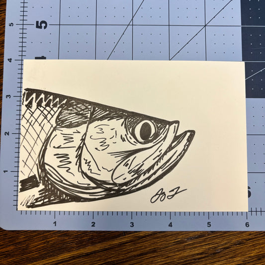 Studio Sale Tarpon 2 Original