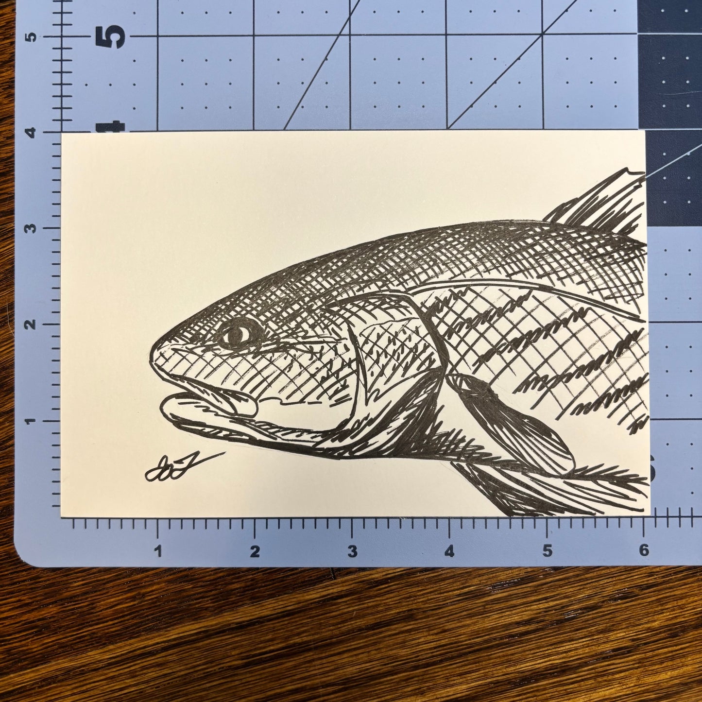 Studio Sale Redfish Original