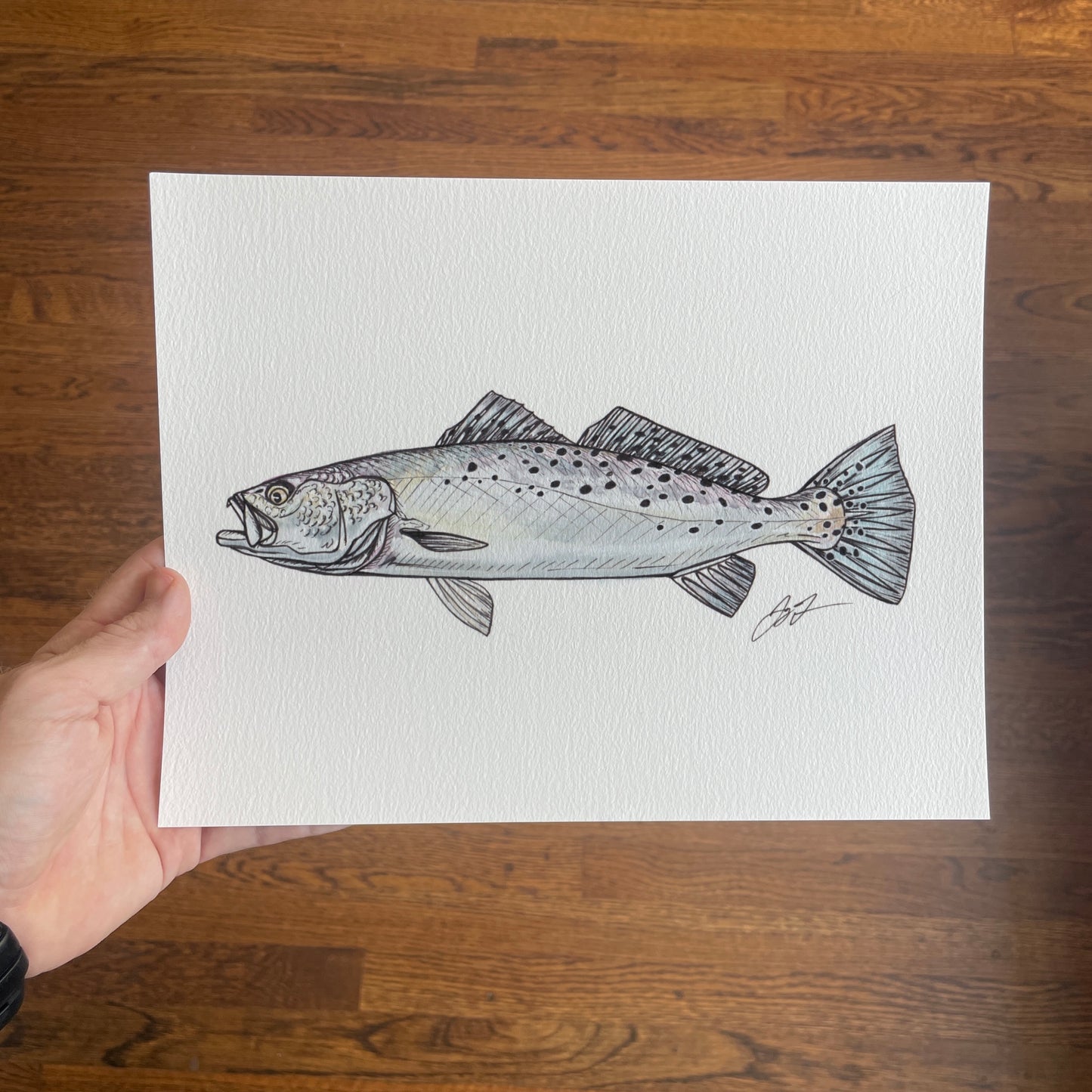 Open Edition: Sea Trout Sketch Print