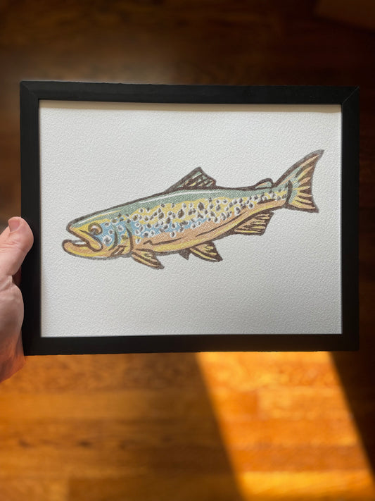 Open Edition: Vintage Brown Trout Print (Frame not included)