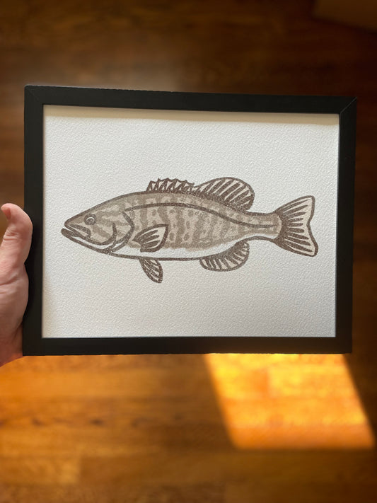 Open Edition: Vintage Smallmouth Bass Print (Frame not included)